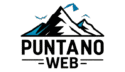 puntanoweb.com